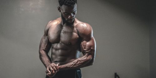 Bulls and Stags in Lakewood, New Jersey